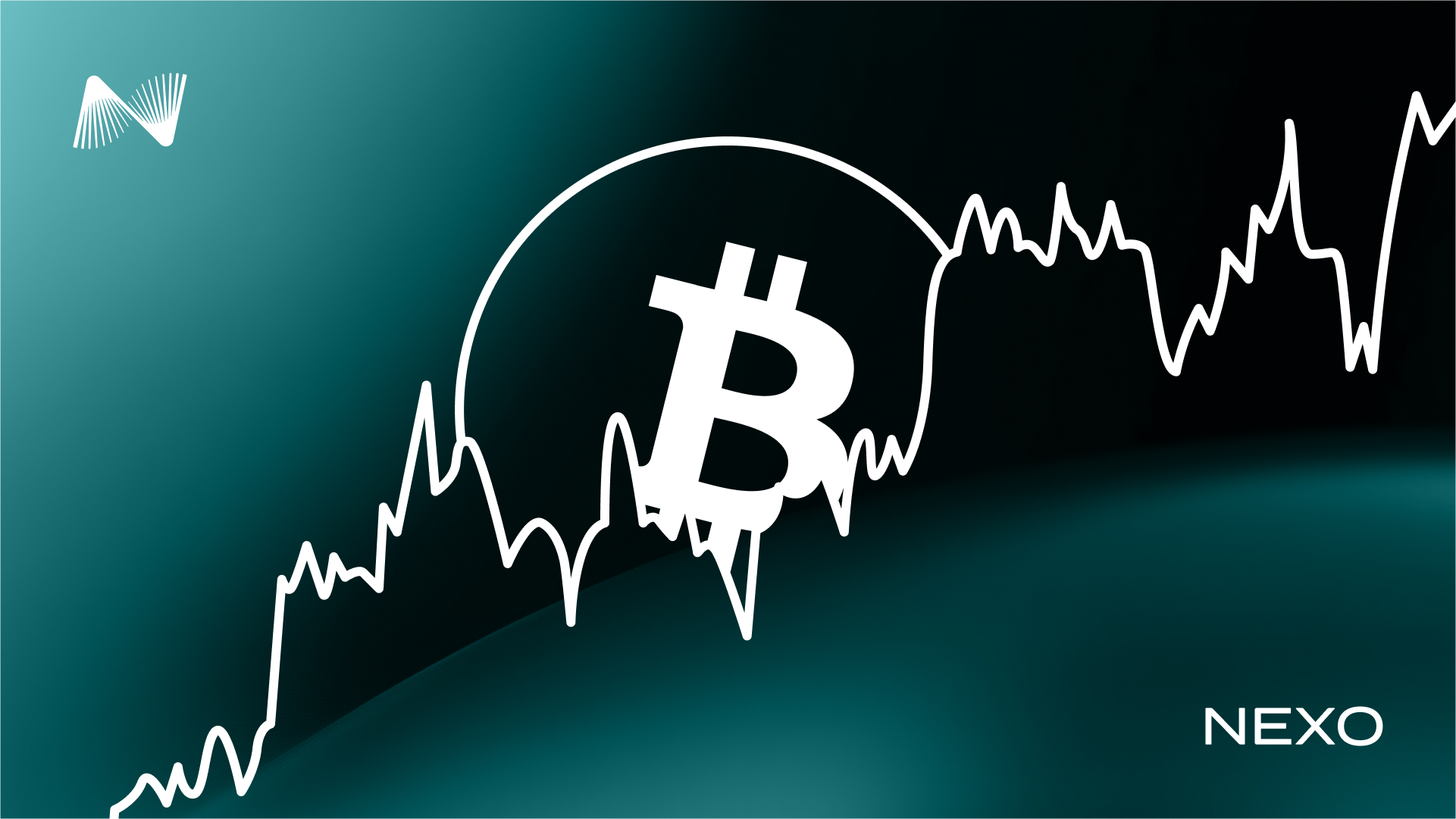 How to Invest in Crypto and Build Your Long-Term Wealth Goals