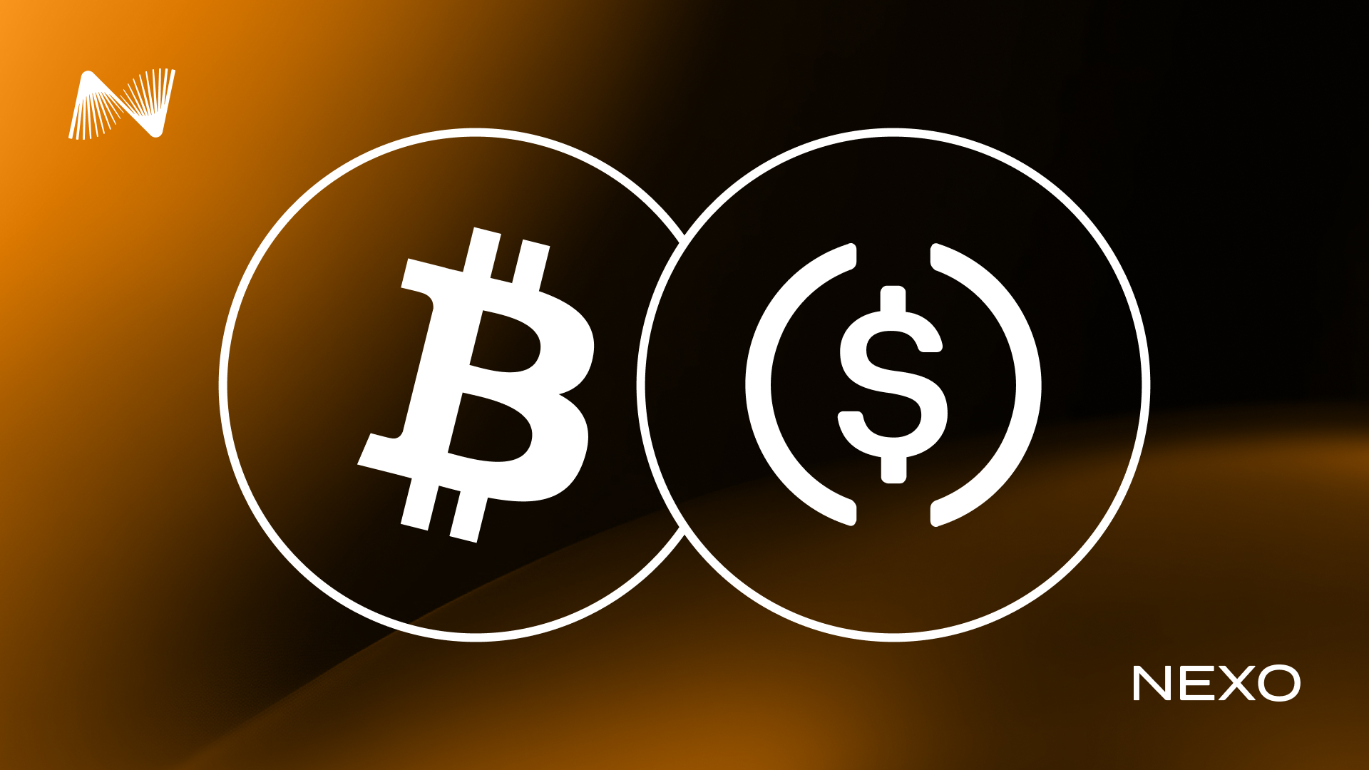 Why would anyone get a Bitcoin loan?