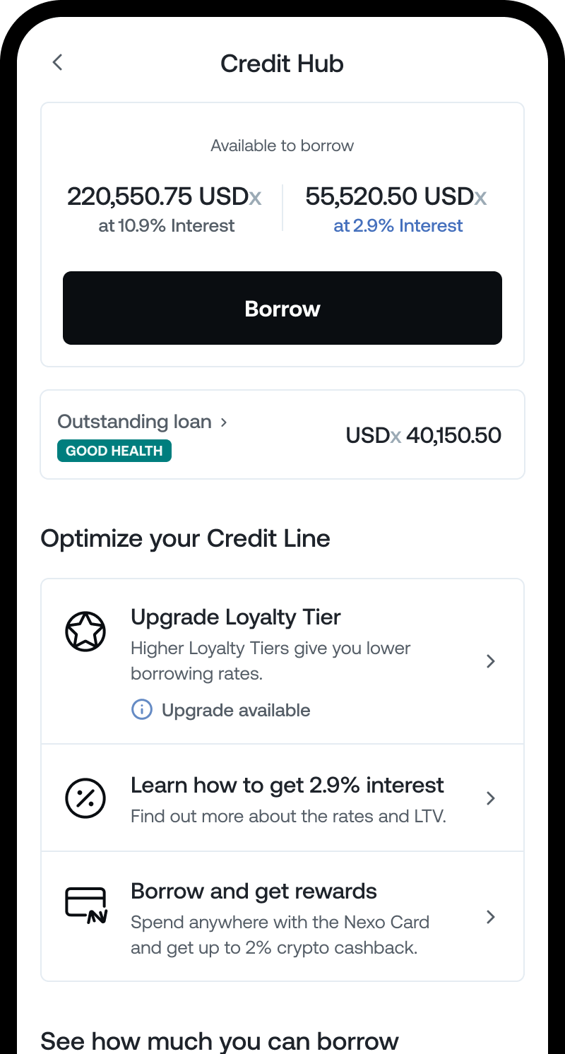 credit line balance app ui