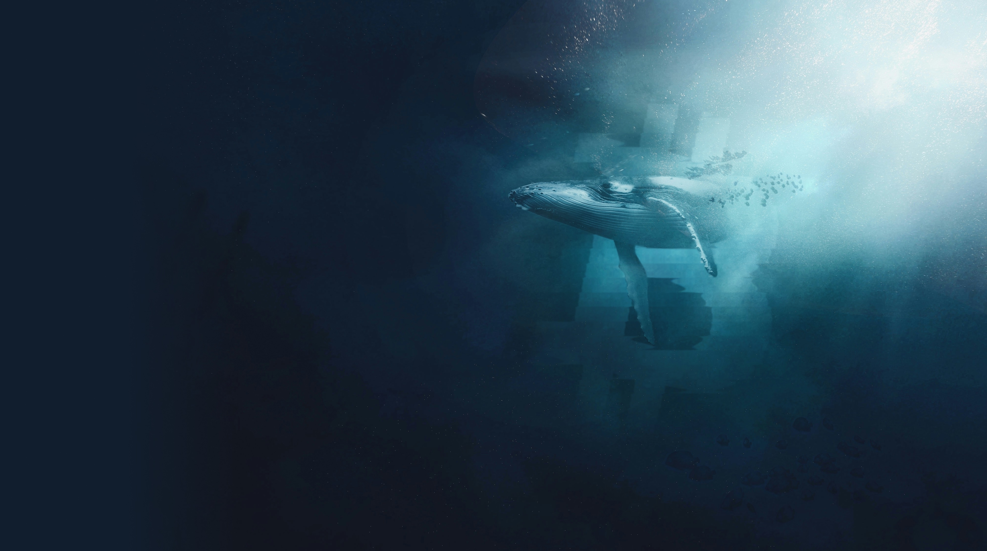 whale boat magazine btc
