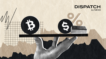 dispatch 282 cover visual